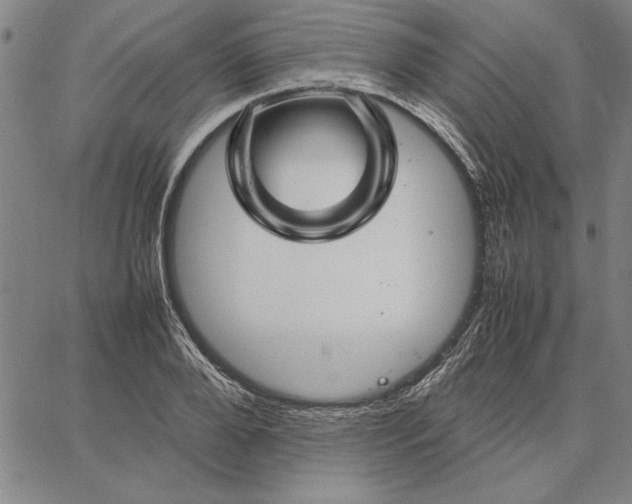 X0000066080888200604071729