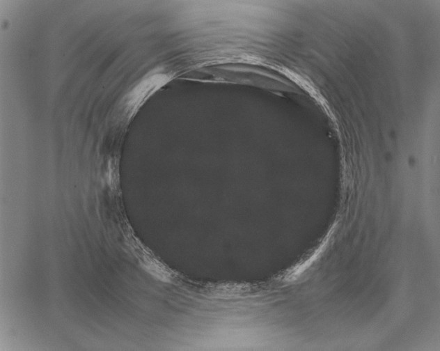 X0000066080889200604071729