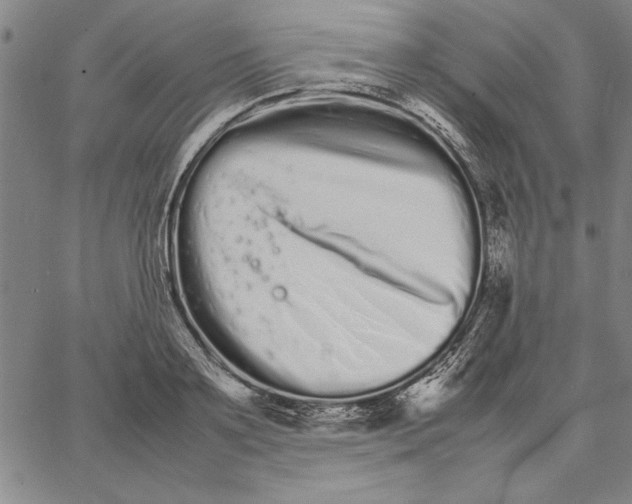 X0000066080891200604071729