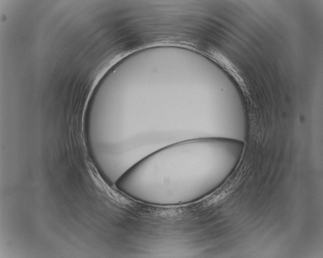 X0000066080892200604071729