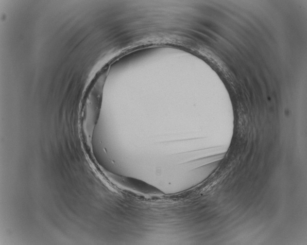 X0000066080894200604071729