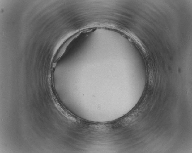 X0000066080896200604071729