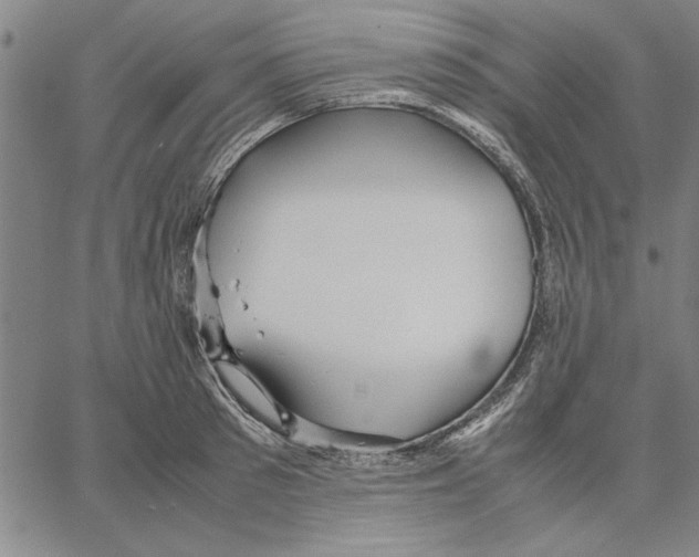 X0000066080897200604071729