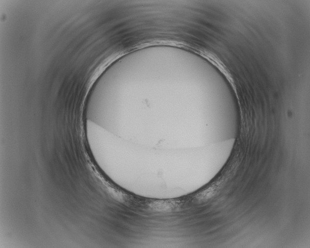 X0000066080898200604071729