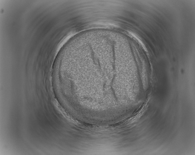 X0000066080899200604071729