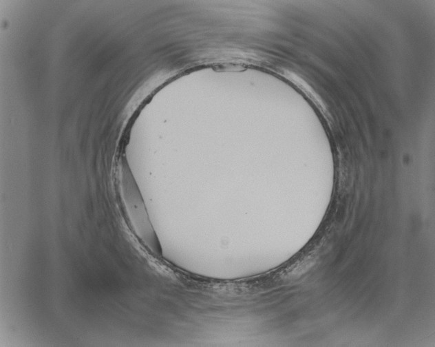 X0000066080901200604071729