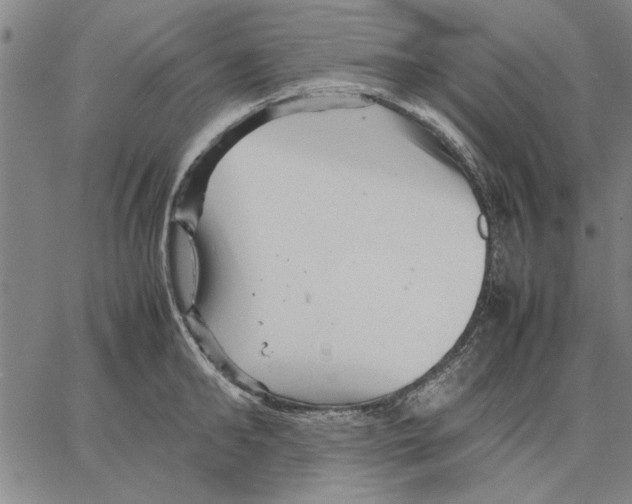 X0000066080902200604071729