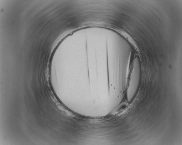 X0000066080904200604071729