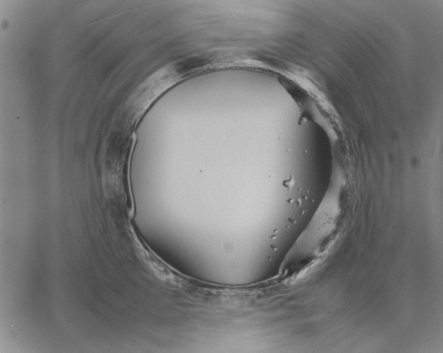 X0000066080905200604071729