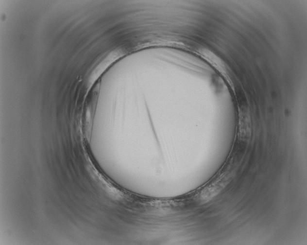 X0000066080906200604071729