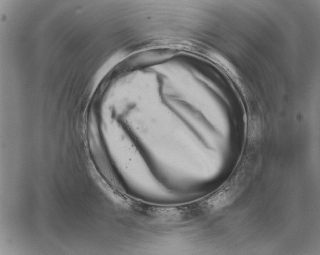 X0000066080907200604071729