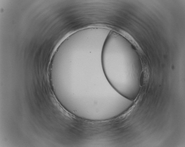 X0000066080908200604071729