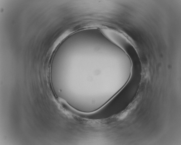 X0000066080909200604071729