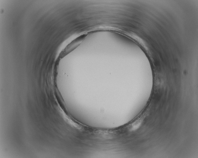 X0000066080910200604071729