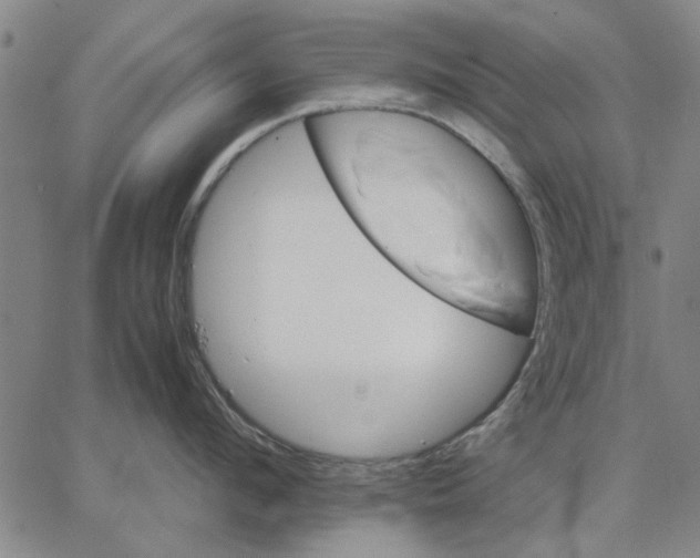 X0000066080912200604071729