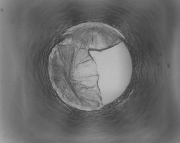 X0000066080913200604071728