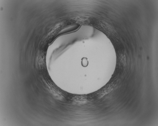 X0000066080914200604071728