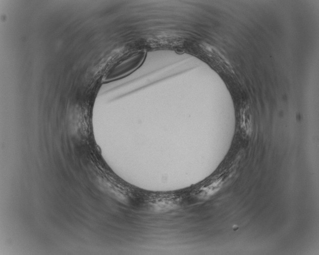 X0000066080915200604071728