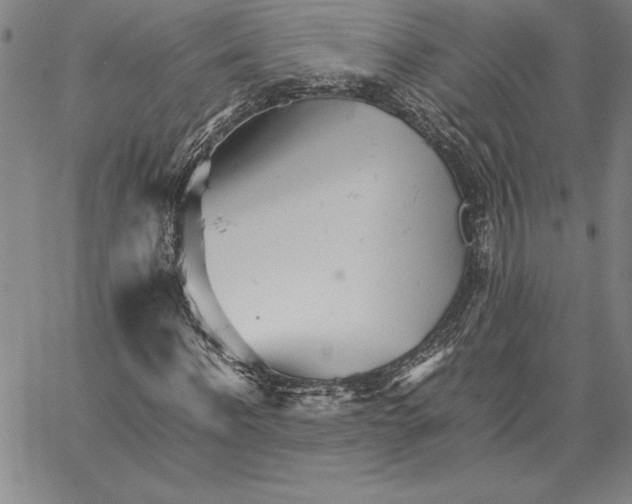 X0000066080916200604071728