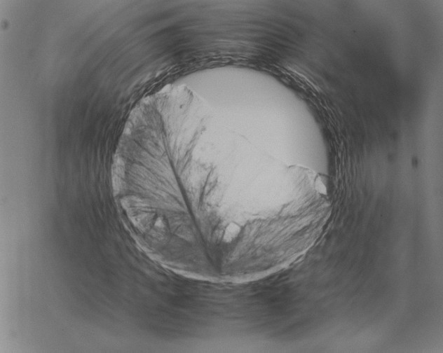 X0000066080917200604071728