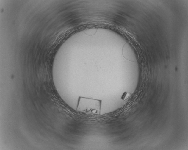 X0000066080918200604071728