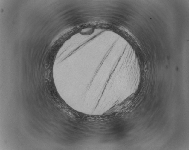 X0000066080919200604071728