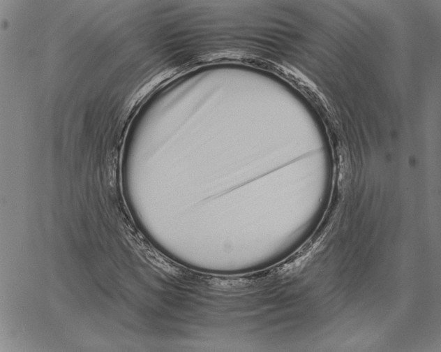 X0000066080921200604071728