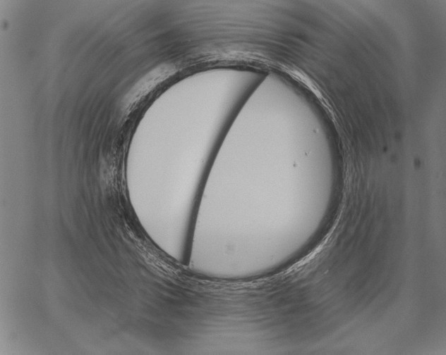 X0000066080922200604071728