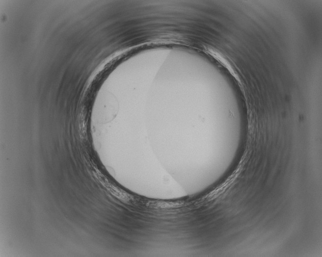 X0000066080923200604071728