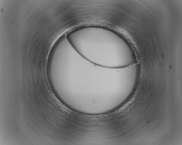 X0000066080924200604071728