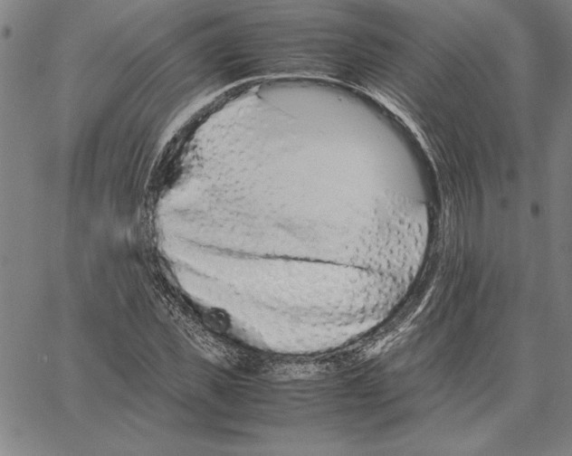 X0000066080925200604071728