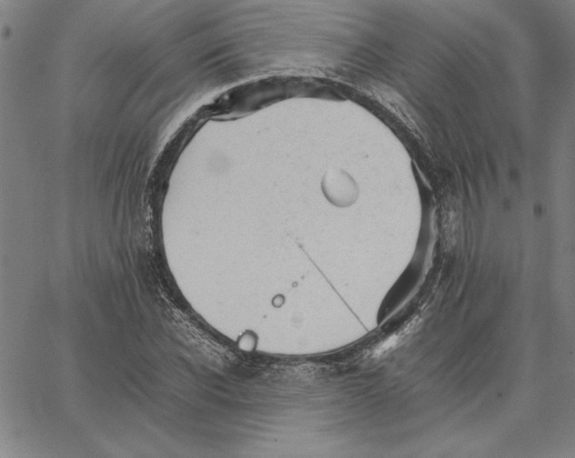 X0000066080926200604071728