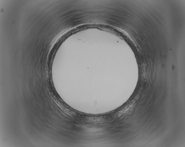 X0000066080927200604071728