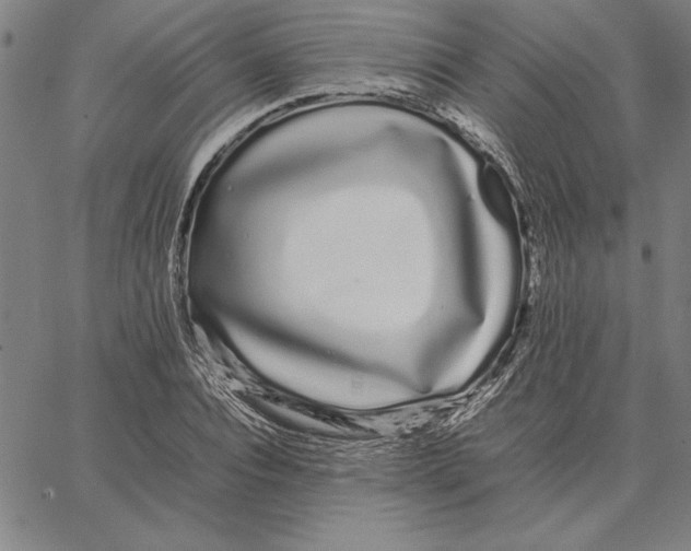 X0000066080928200604071728