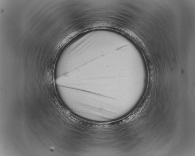 X0000066080929200604071728