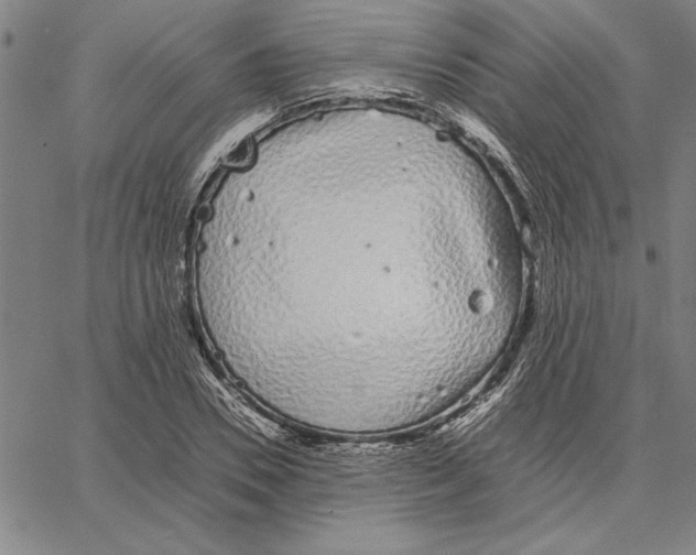 X0000066080930200604071728