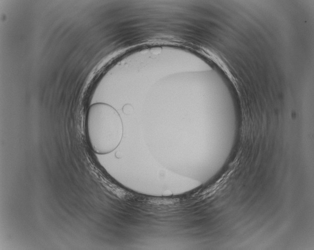 X0000066080931200604071728