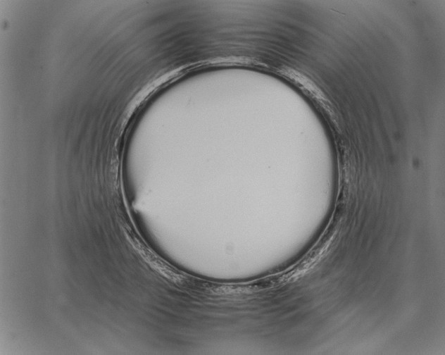 X0000066080933200604071728