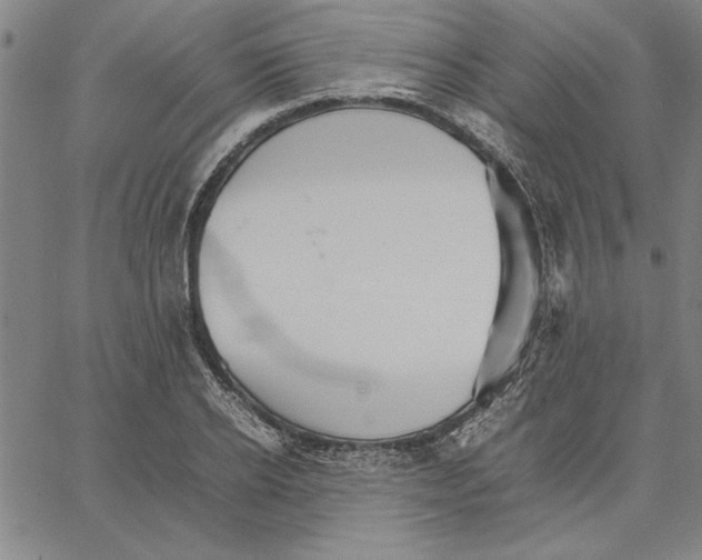 X0000066080934200604071728