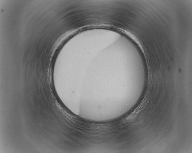 X0000066080935200604071728