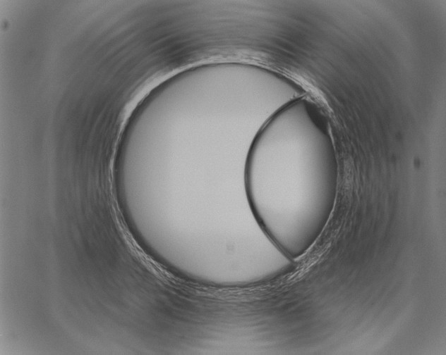 X0000066080936200604071728