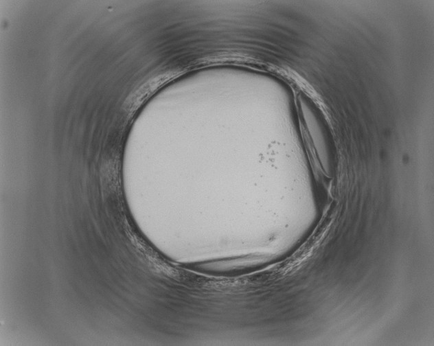 X0000066080937200604071728