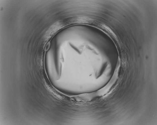 X0000066080938200604071728