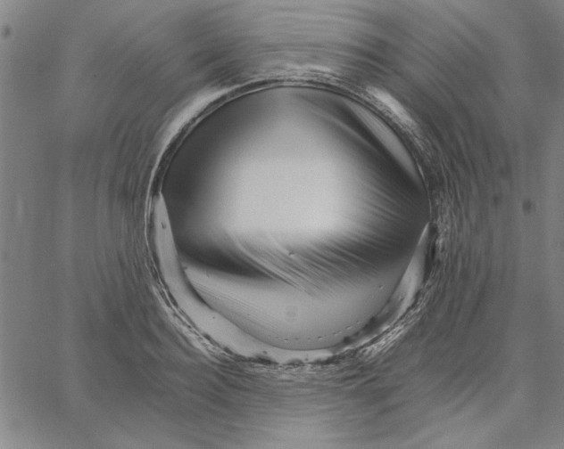 X0000066080940200604071728