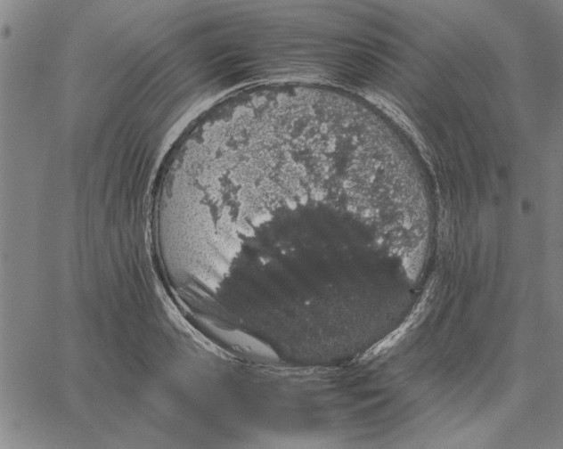 X0000066080941200604071728