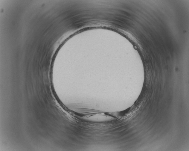 X0000066080943200604071728