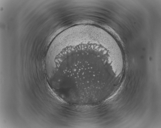 X0000066080945200604071728