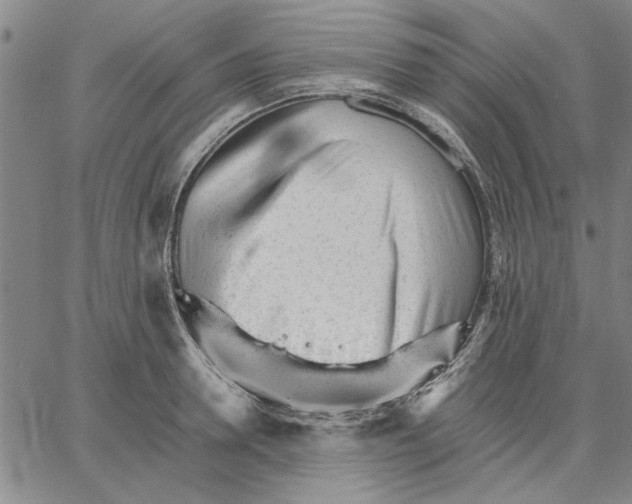 X0000066080946200604071728