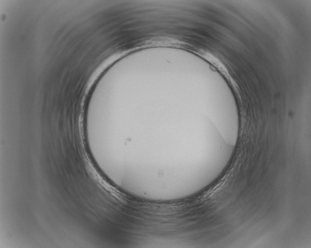 X0000066080947200604071728