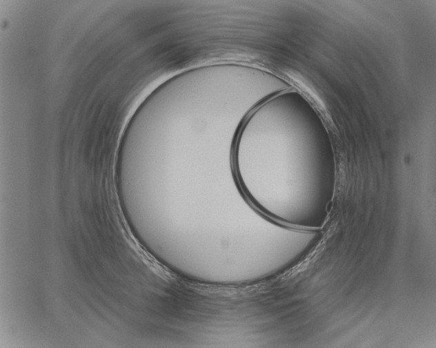 X0000066080948200604071728